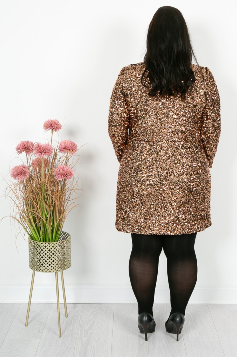 Rose Gold Sequin Dress