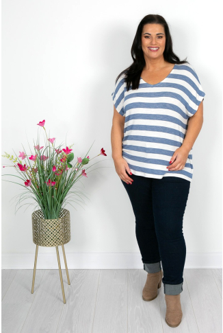 Denim & White Stripe Top