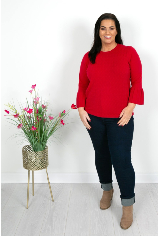  Knit with Pleat Sleeve Detail in Red 
