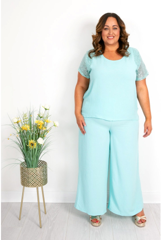 Mint Sequin Sleeve Top