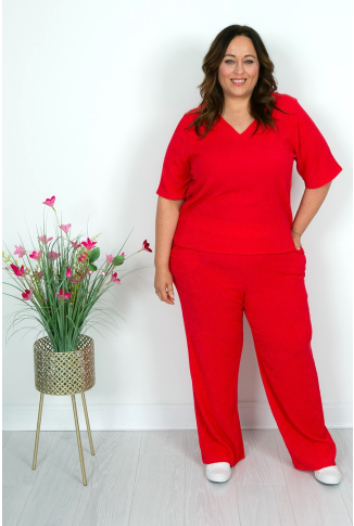 Scarlett Red Textured Top